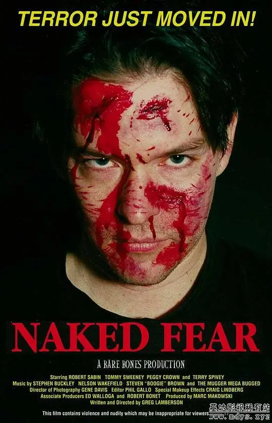 《赤裸惊魂》：迷雾笼罩下的罪恶，人性的扭曲与救赎之路